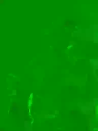 DeferentUproar