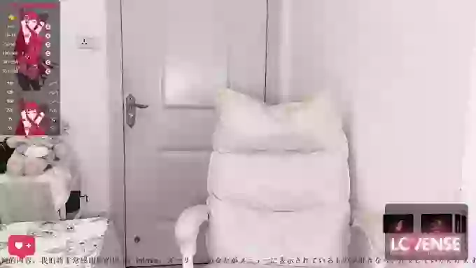__leila__
