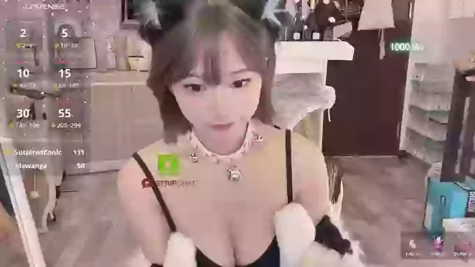 -XunMengLong-