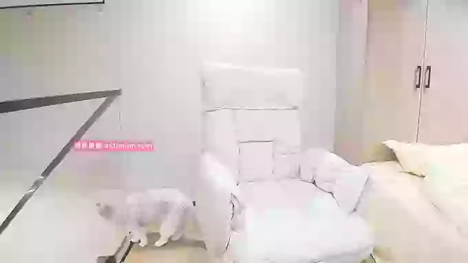 Bellajane_HK000