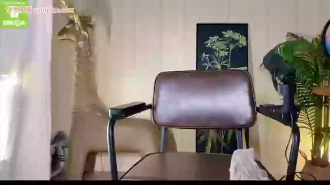 meowLili