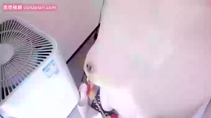 bdbdzs