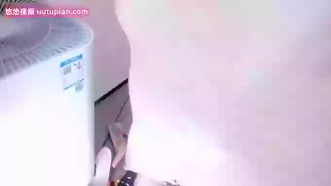 bdbdzs