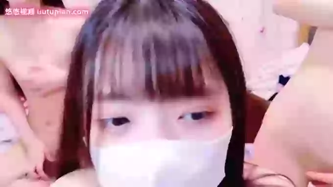 irohani_usagi