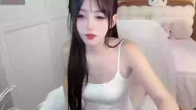 camellia-yi