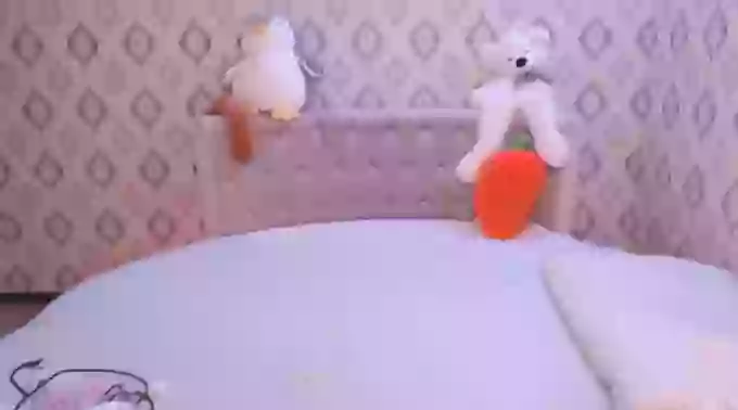 Micu_Ko