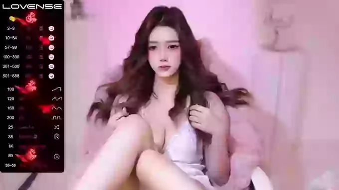 lkjfdsks
