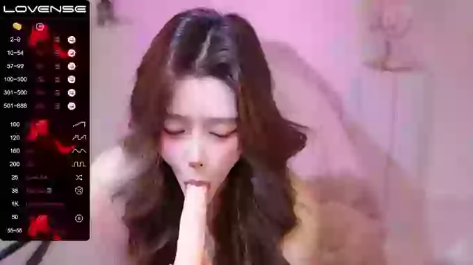 lkjfdsks