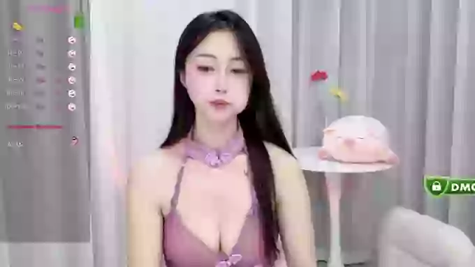 Lan-mei
