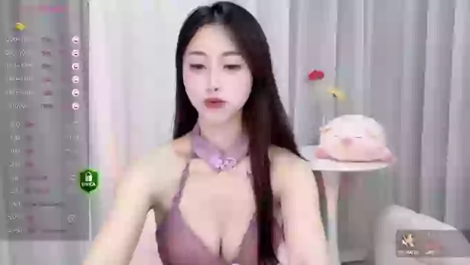 Lan-mei