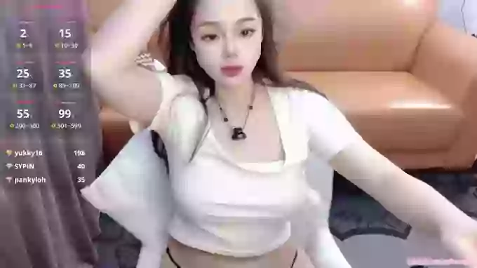 YIZHI_Koala