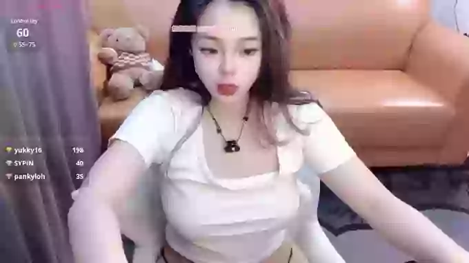 YIZHI_Koala
