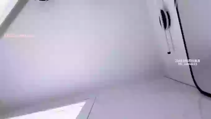 lvy-w