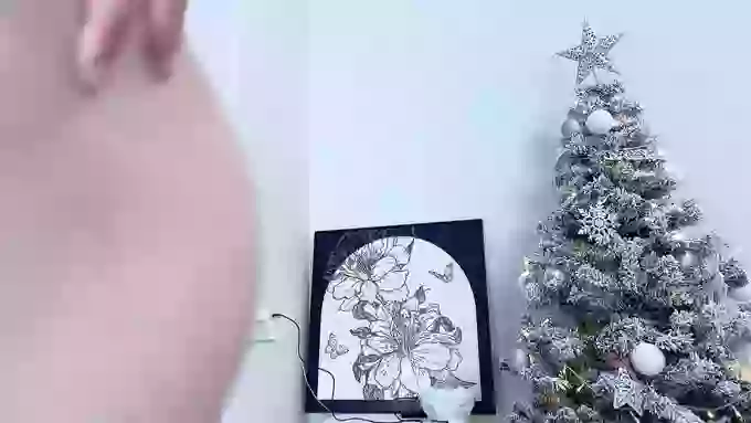 xyebobs