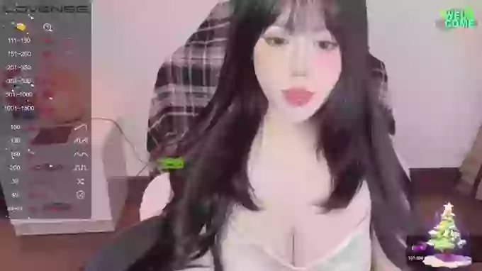 Naixue-520