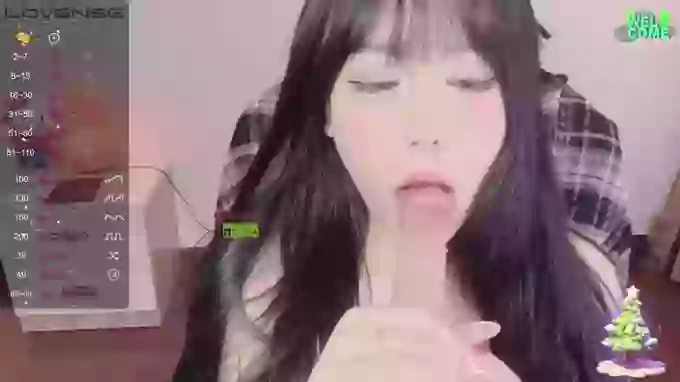 Naixue-520