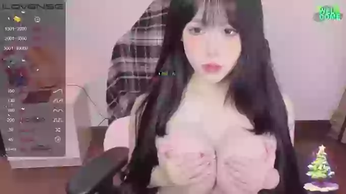 Naixue-520