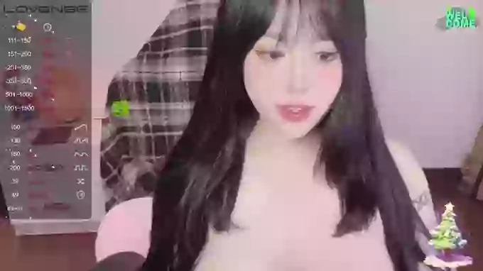 Naixue-520