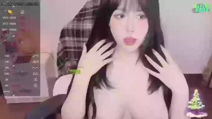 Naixue-520