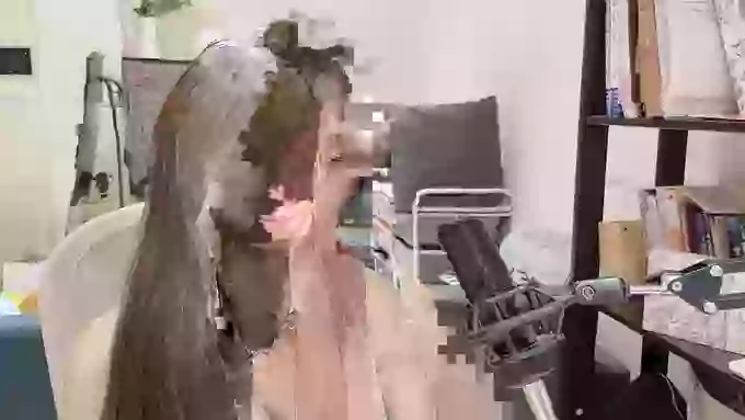 Na_bb