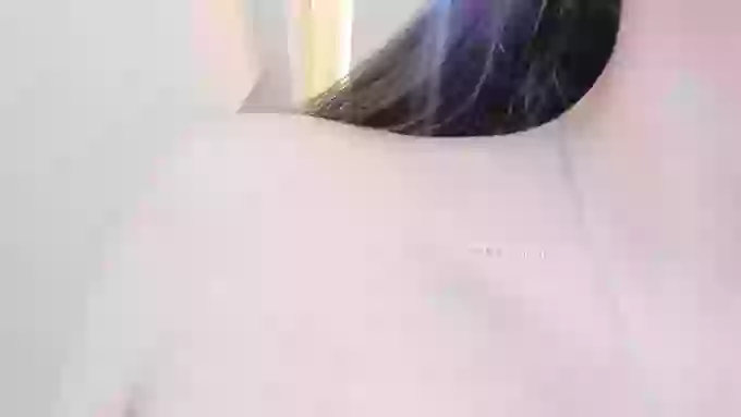 bdbdzs
