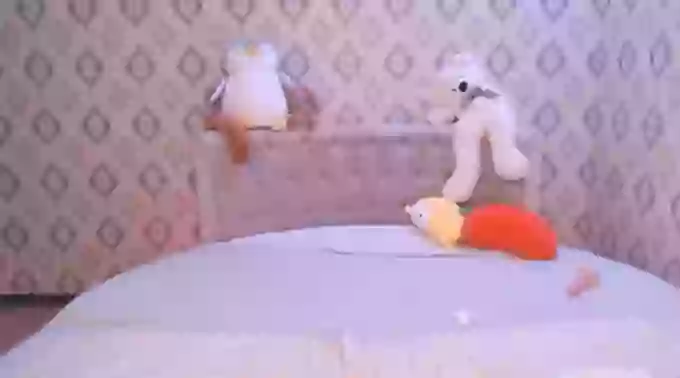 Micu_Ko