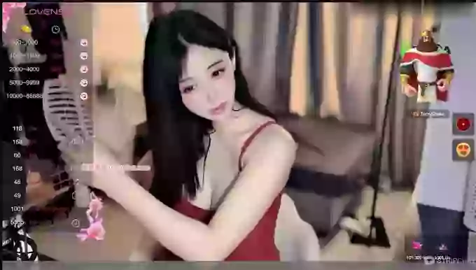 Bo-TvT