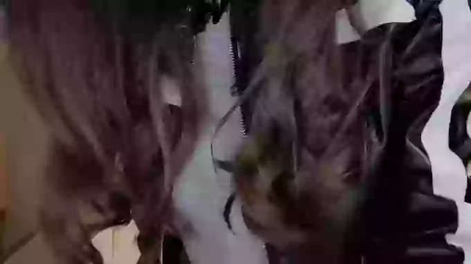 yang-yang-yang