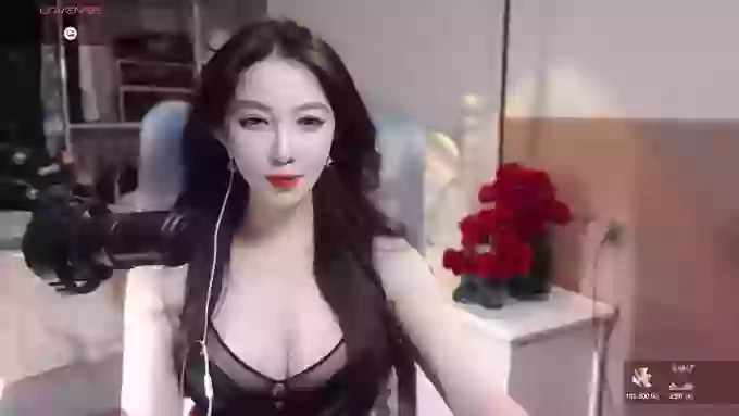 vyizh-