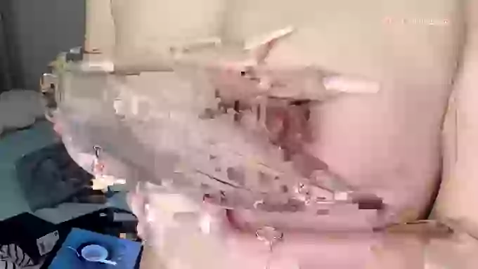 ffccvjsexx