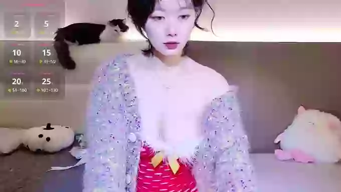 TTAOZI-TTT