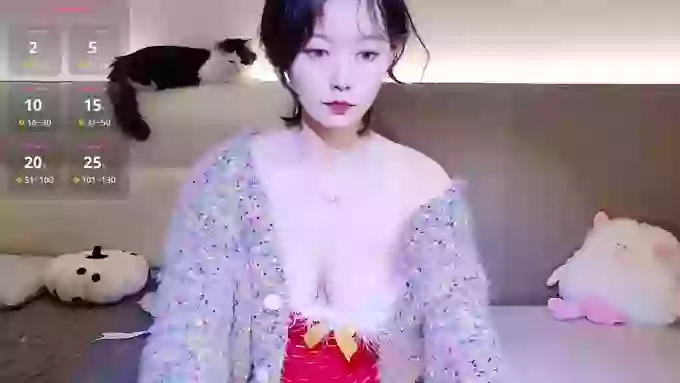 TTAOZI-TTT