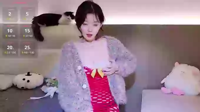 TTAOZI-TTT
