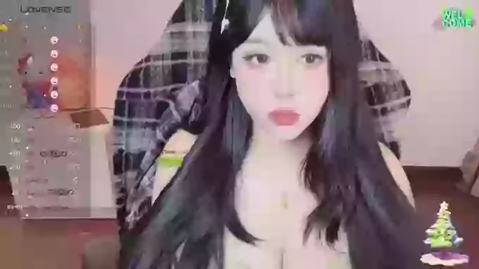 Naixue-520