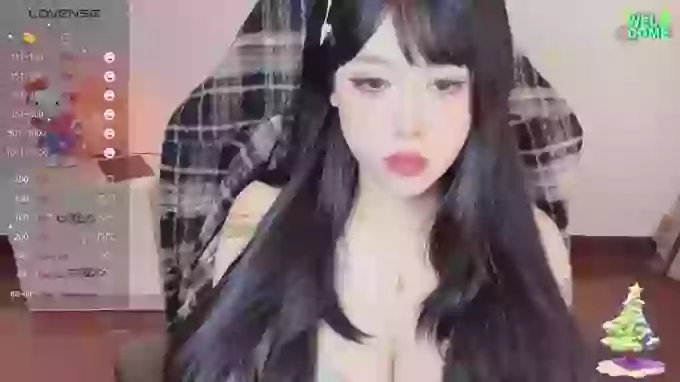 Naixue-520