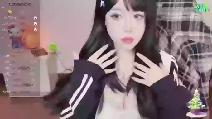 Naixue-520