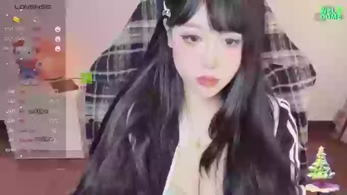 Naixue-520