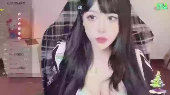 Naixue-520