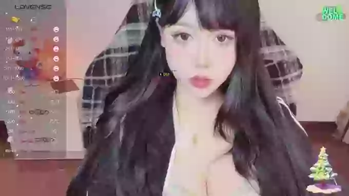 Naixue-520