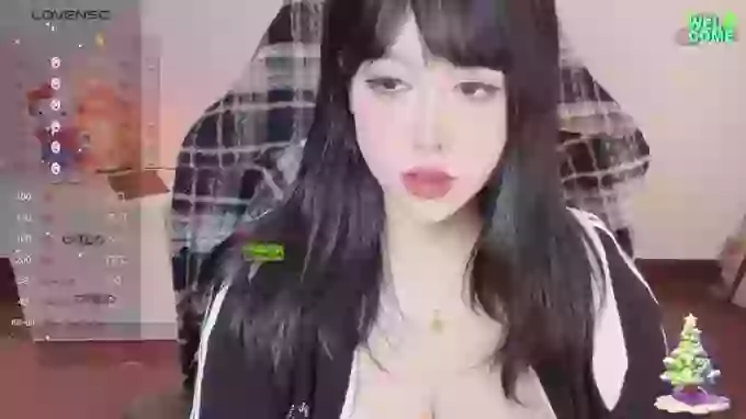 Naixue-520