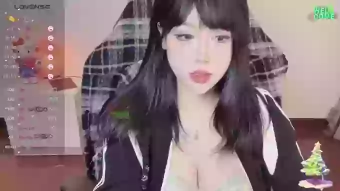 Naixue-520
