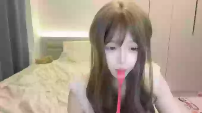Koala_Cici