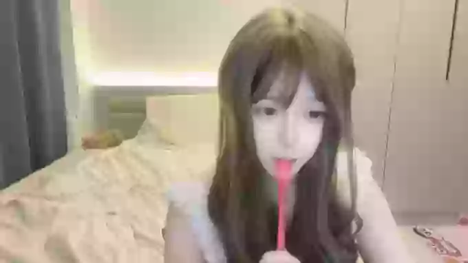 Koala_Cici