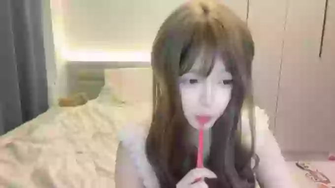 Koala_Cici