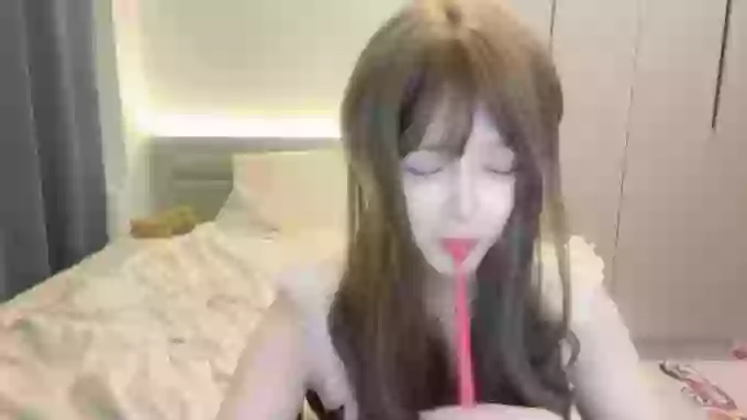 Koala_Cici