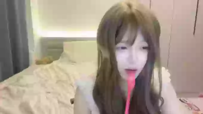 Koala_Cici
