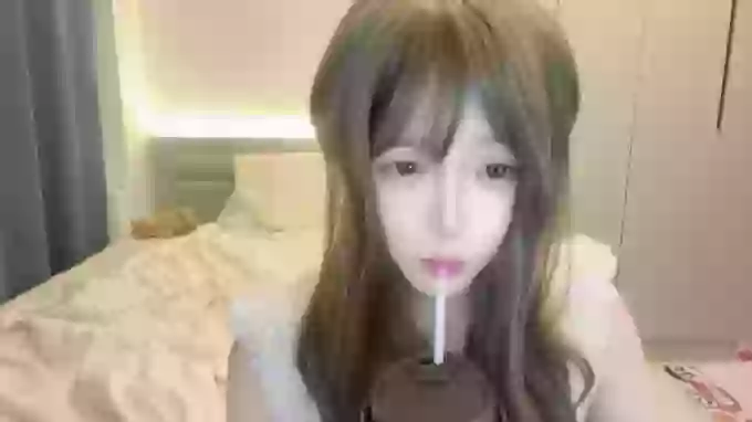 Koala_Cici