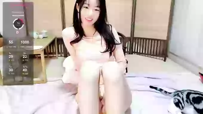 XiaoQing_1811