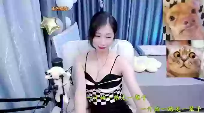Jiajia-