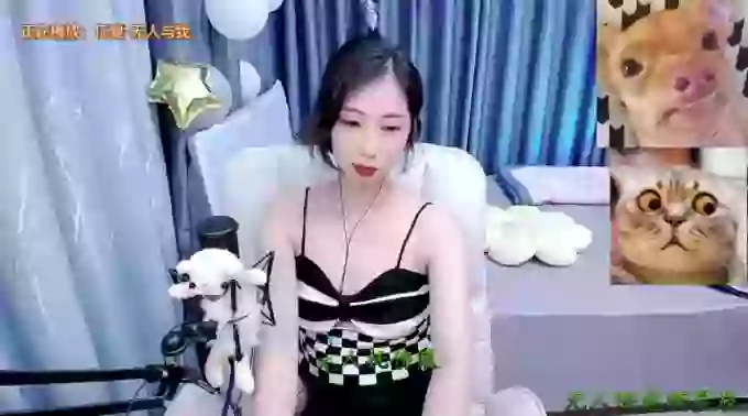 Jiajia-